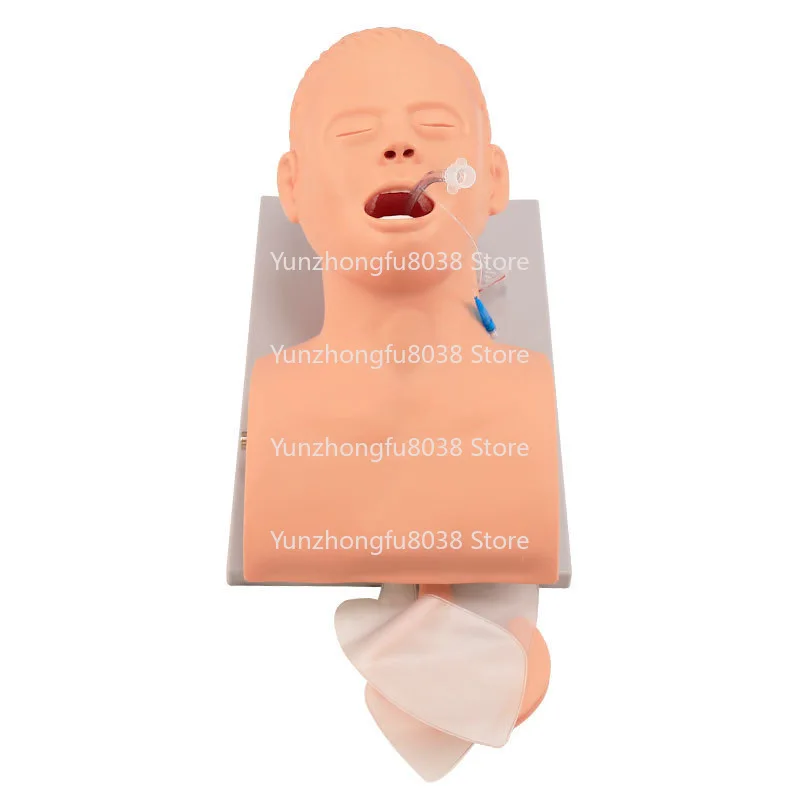 Teaching Model Human Body Electronic Endotracheal Intubation Simulation Airway With Teeth Pressure Equipment 1:1 Life Size