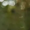

3/2л распылитель давления, спрей для уничтожения сорняков, ручной садовый насос, опрыскиватель для ухода за газоном и садом для растений и другой уборки