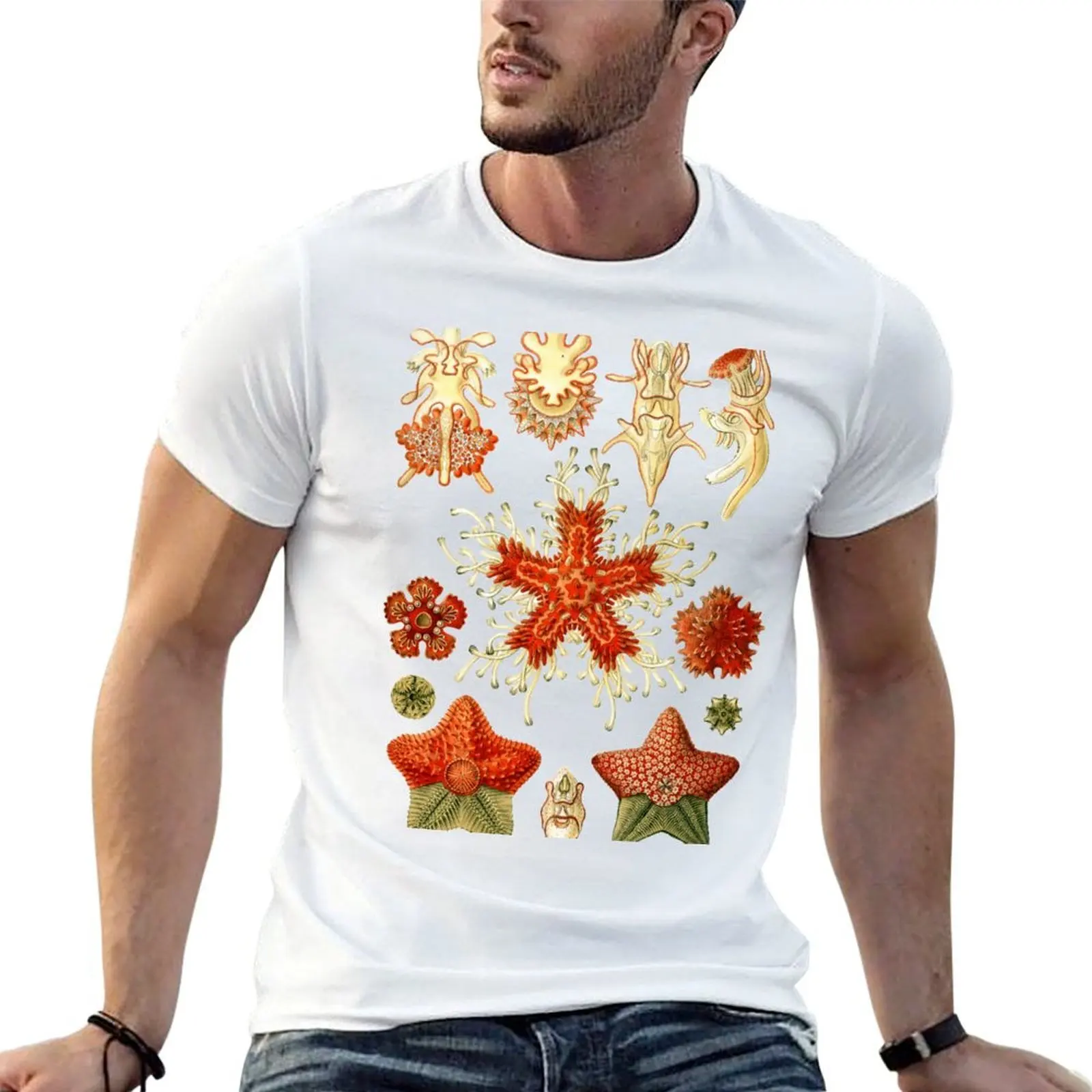 Ernst Haeckel - Scientific Illustration - Asteroidea T-Shirt anime stuff korean fashion compression shirt men