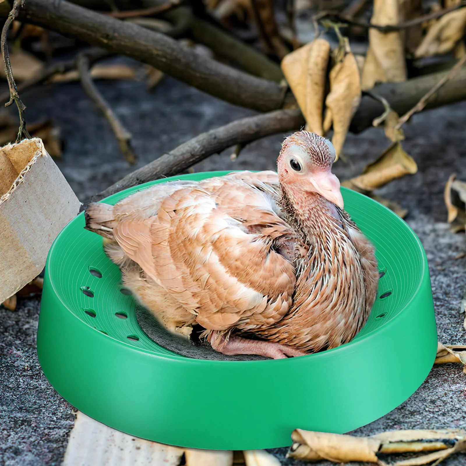

10pcs Bird Nest Egg Basin Durable Washable Breeding Mat For Parrot Pigeon Home Farm Use Pigeon Supplies Breeding Bird Egg Basin