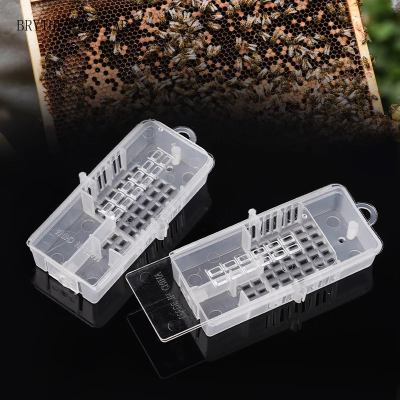 30pcs Bee Tools Bee King Transparent Cage Transport Queen Cage Rearing Prisoner Cell King Beekeeping Supplies