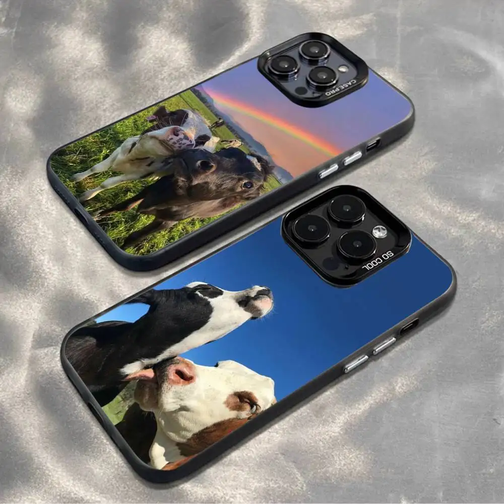 

Lovely Cute Cow Cows OX Phone Case For iPhone 16,15,14,13,12,11,Mini,Pro,MAX,plus,Black Matte Shockproof Cover