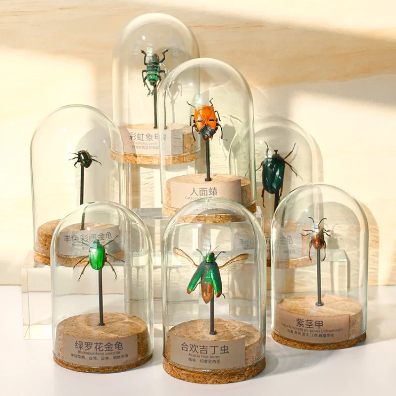 

2099 Glass Jar Beetle Ornament Insect Figurine for Home Decor Wall Art Display Holiday Gift Wedding Christmas Party Supplies