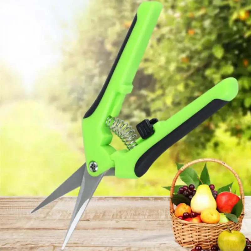 Gardening Pruning Shears Garden Tools Secateurs Bonsai Gardening Scissor Pruning Tool Grape Fruit Picking Weed Household Potted