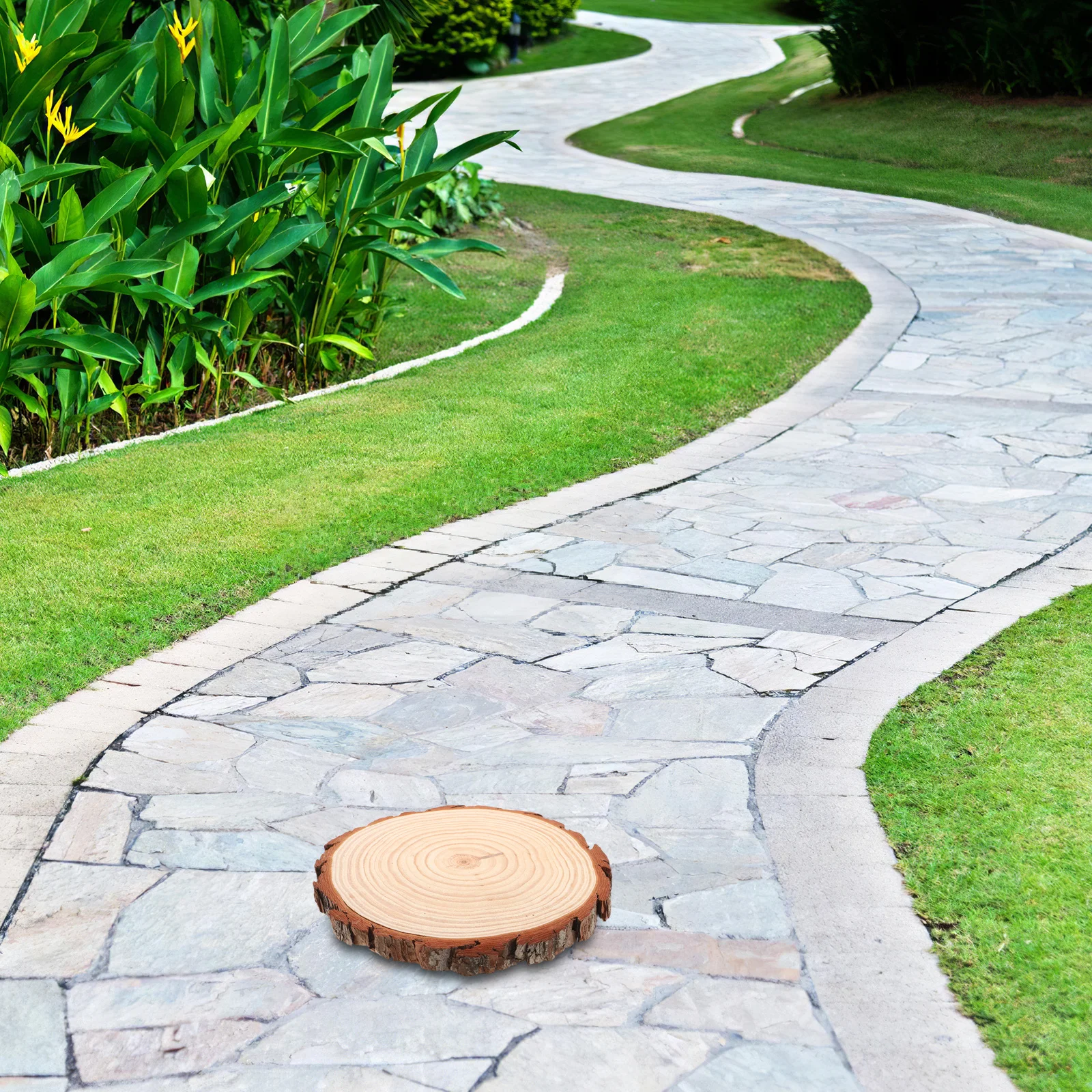 

Outdoor Decorative Stepping Stone Round Wood Slice 25-28Cm Wooden Garden Path Walkway Patio Stones Backyard Landscaping
