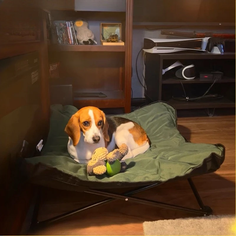Thumbnail 2 - #17 Compare Puppy Sofa Beds Before You Buy