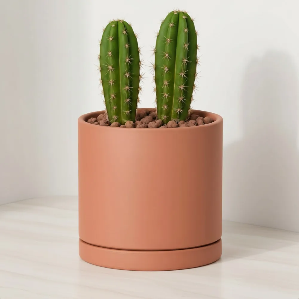 

Large 10 Inch Terracotta Plant Pot with Drainage Hole and Saucer, Round Cylinder Planter for Indoor Plants, Home Garden Decor
