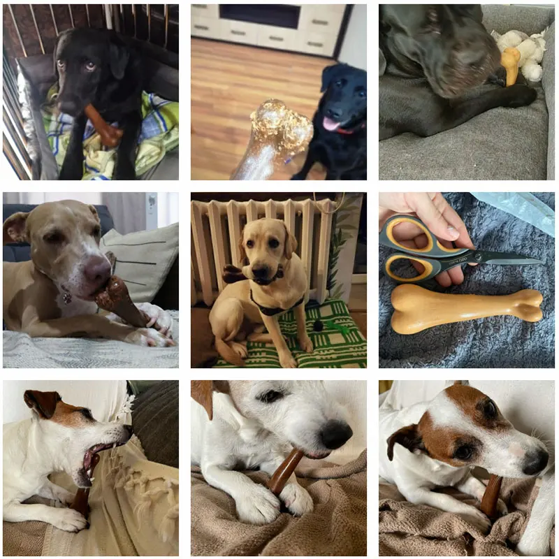 Thumbnail 4 - #10 Latest Pet Toys Updates