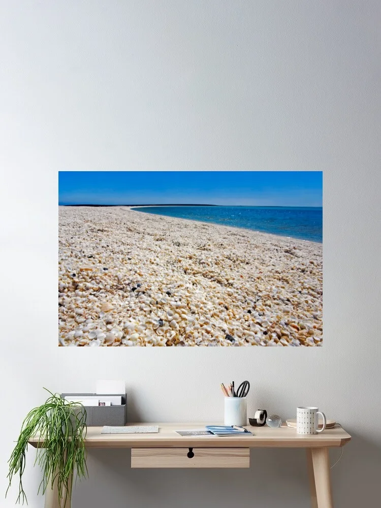 Shell Beach in Shark Bay, Western Australia Photo Canvas POSTER ,Home Decor Wall art painting