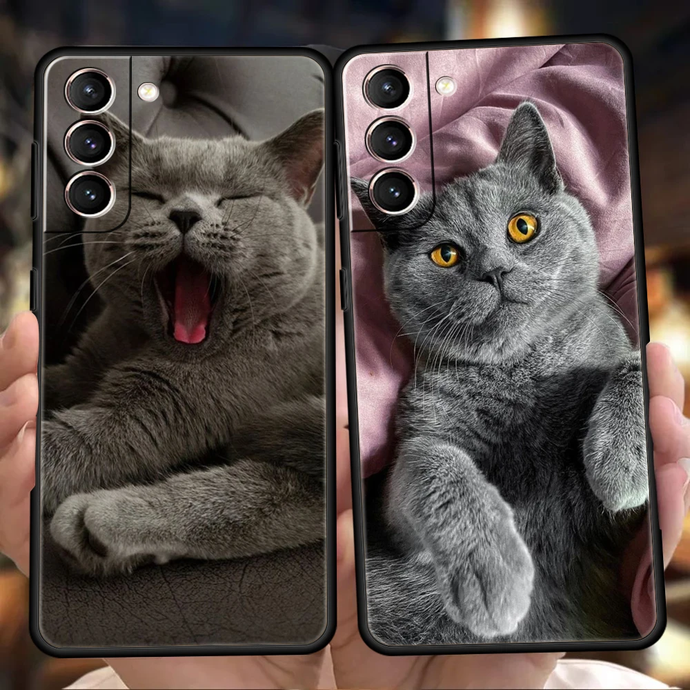 British shorthair cat Phone Case For Samsung Galaxy S24 S23 Ultra S22 S21 S20 FE 5G S10 S10E S9 Plus S8 Silicone Black Cover