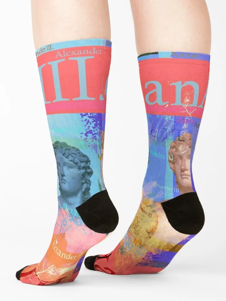 Alexander the Great, famous conqueror Socks kawaii Stockings aesthetic luxury Socks Women Men's