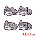PE17160CT