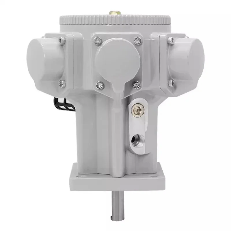 

HL-100 five-cylinder piston pneumatic motor, high power can be reversed speed mixing pump with gear reducer