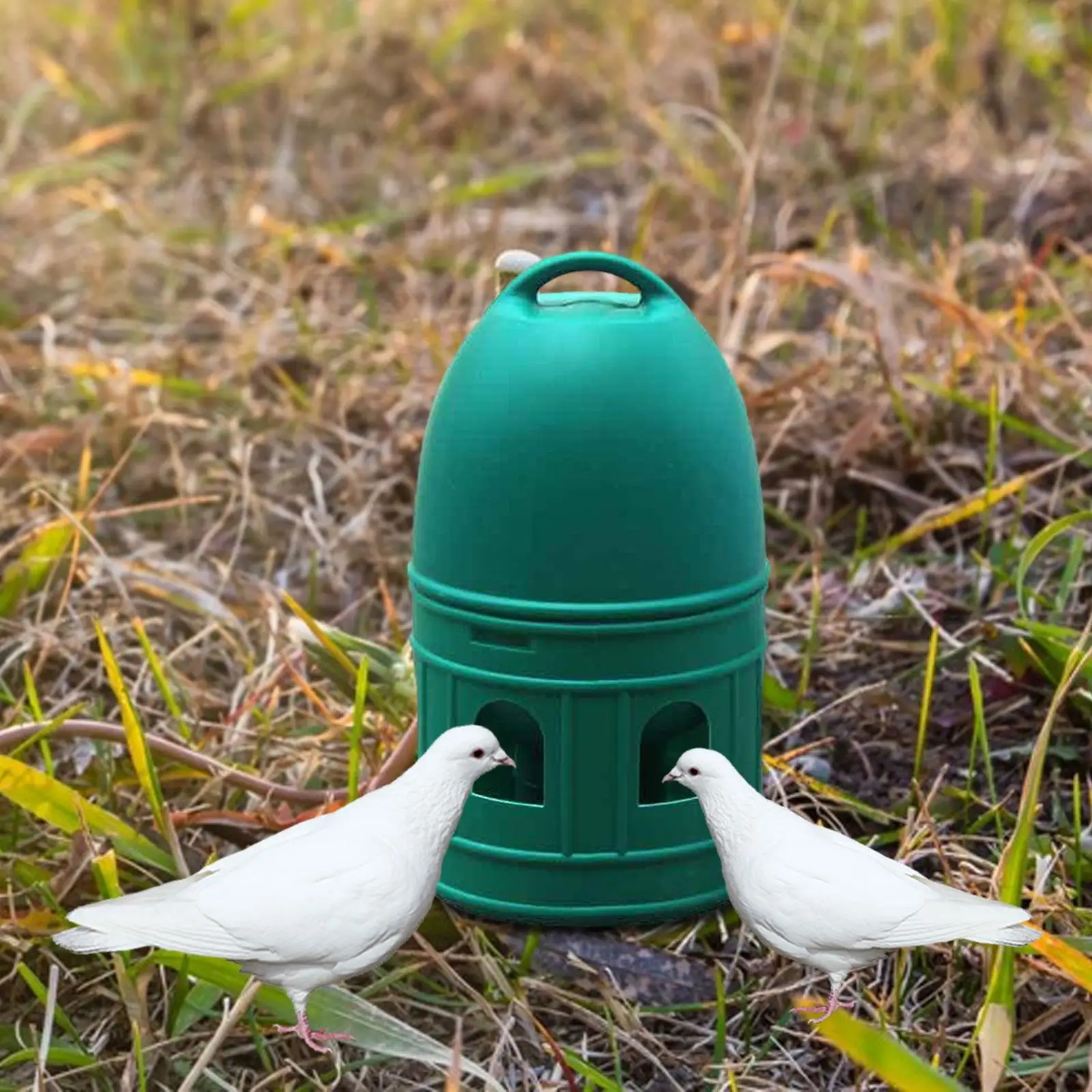 

2Pcs Pigeon Drinker Feeder Water Bottle Water Pot Container with Handle Bird Water Drinker for Duck Backyard Coop Dove Parrot