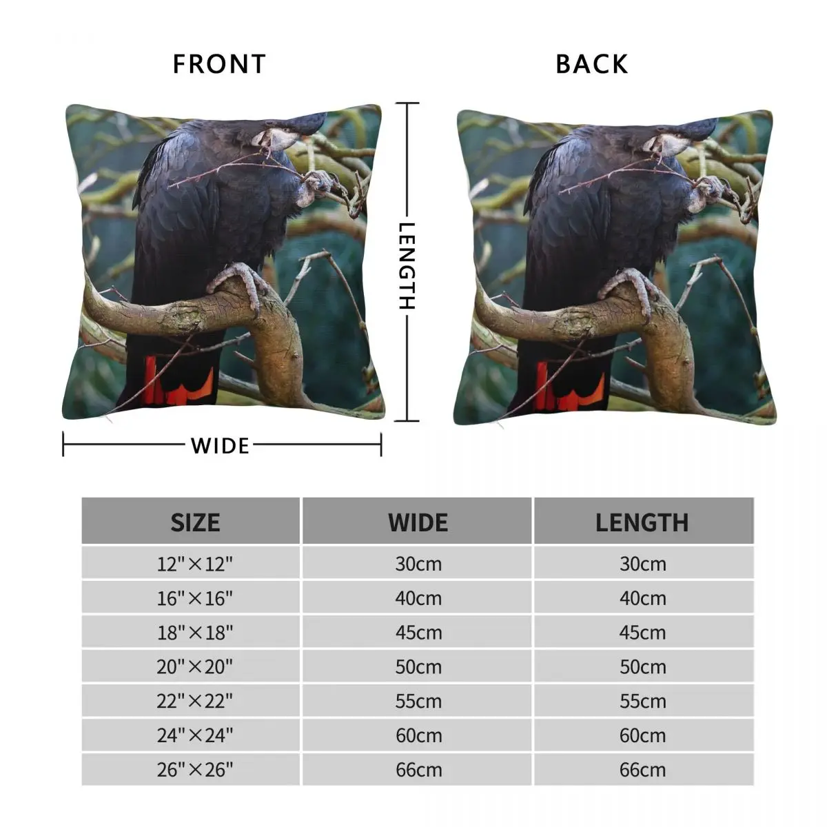 Red-tailed Black Cockatoo Square Pillowcase Polyester Linen Velvet Pattern Zip Decor Home Cushion Cover