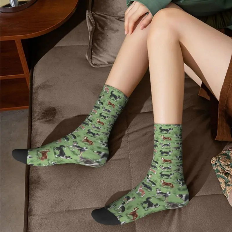 Collie – chaussettes Kawaii à imprimé Kawaii pour hommes et femmes, extensibles, pour l'été, l'automne et l'hiver, pour animaux de compagnie