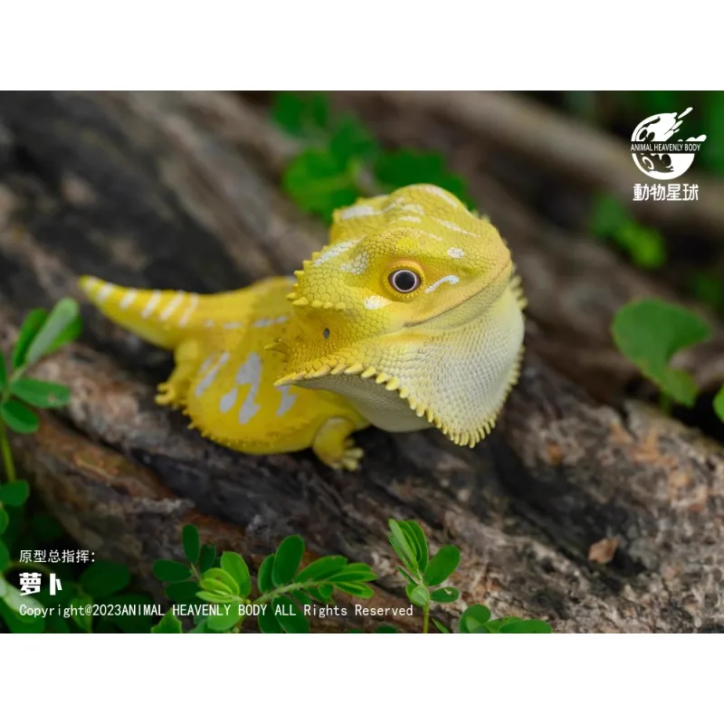 Original Animal Planet A Series Laugh and Grow Fat Lizard Iguana Qversion Anime Action Figure Model Toy Gift Collection Ornament