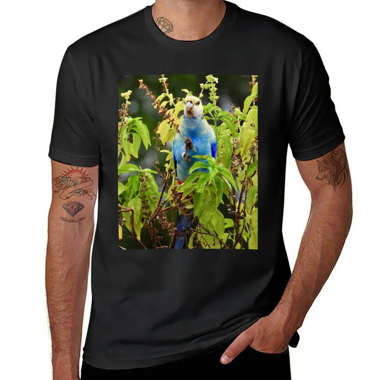 Pale-Headed Rosella enjoying some Basil T-Shirt vintage kawaii clothes tshirts for men