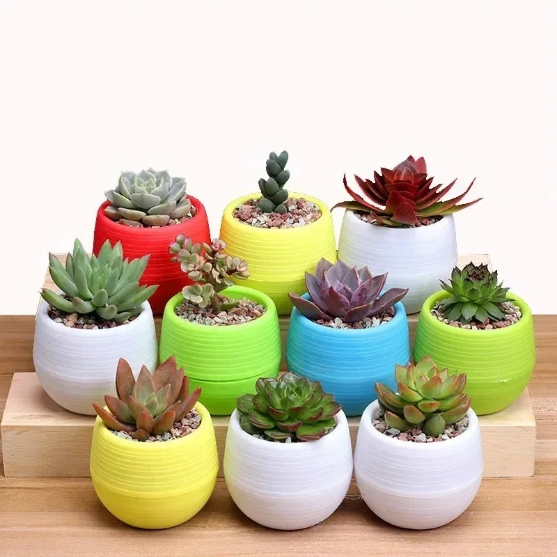 6Pcs 2026 New model Advanced Mini Plastic Succulent Pots Random Color with Drainage Hole Small Flower Planters for Home Garden