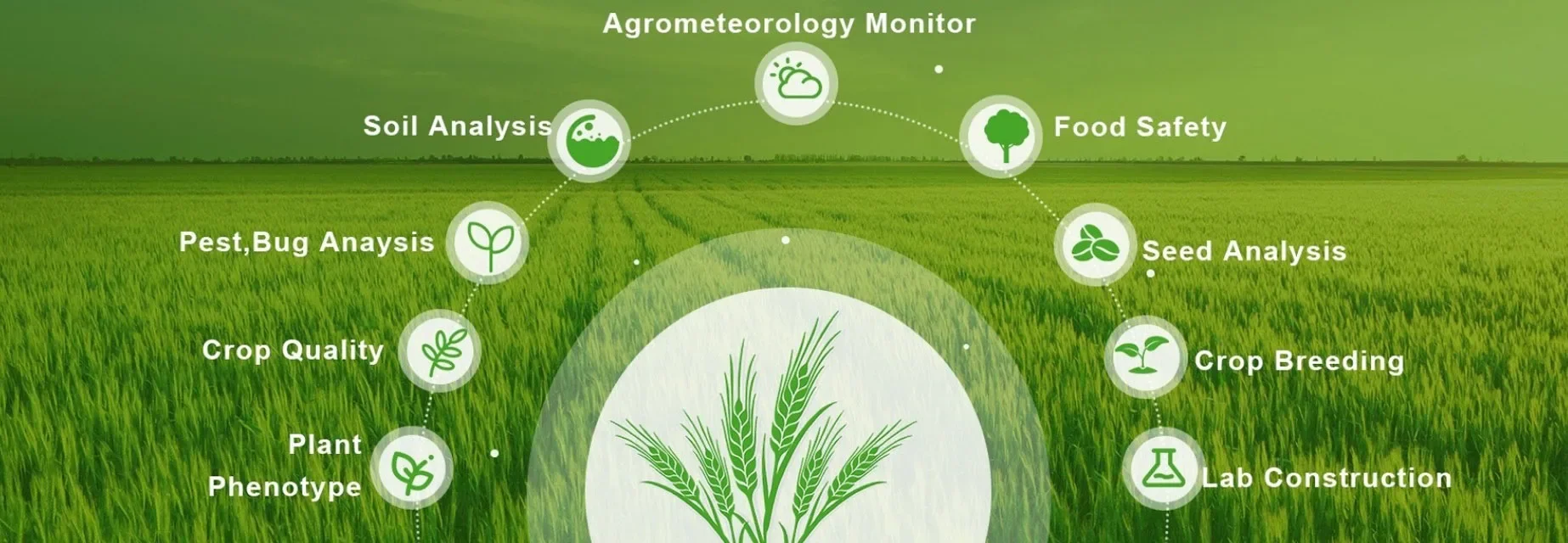 Pest Killer Mosquito Killer Solar-LED-Lampe mit Bewegungssensor für Camping auf der Hinterhof, Terrasse