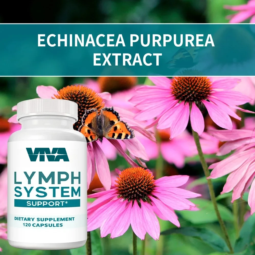 مكمل التنظيف اللمفاوي - دعم صحة الجهاز اللمفاوي، التنظيف والتخلص من السموم، يحسن الرفاهية بشكل عام، 120 كبسولة