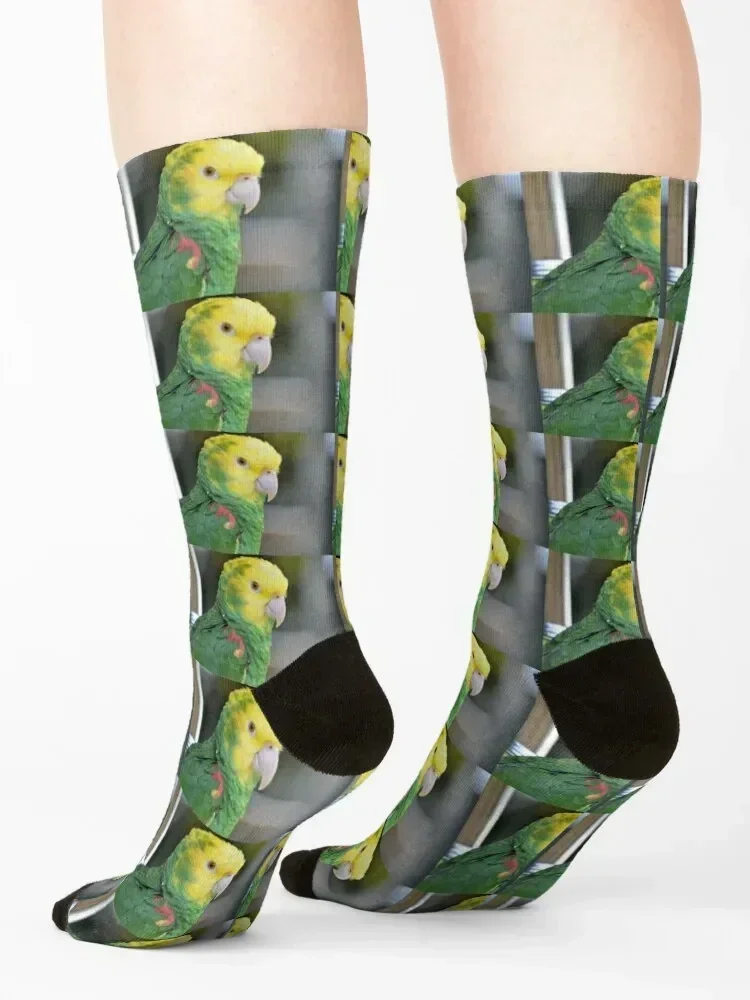 Double Yellow Headed Amazon Parrot Socks heated Sports FASHION luxe Socks Male Women's