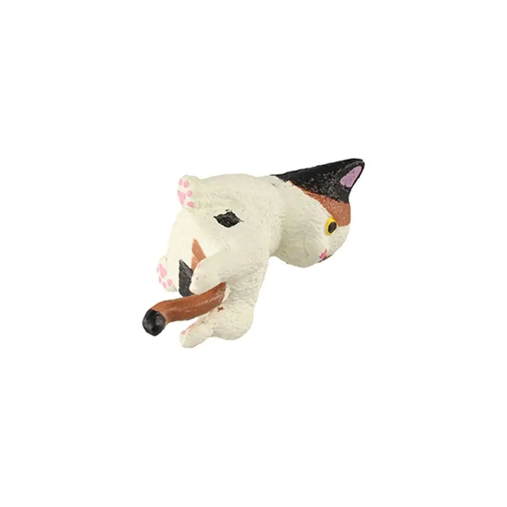 Simulation Edge Cat… - image