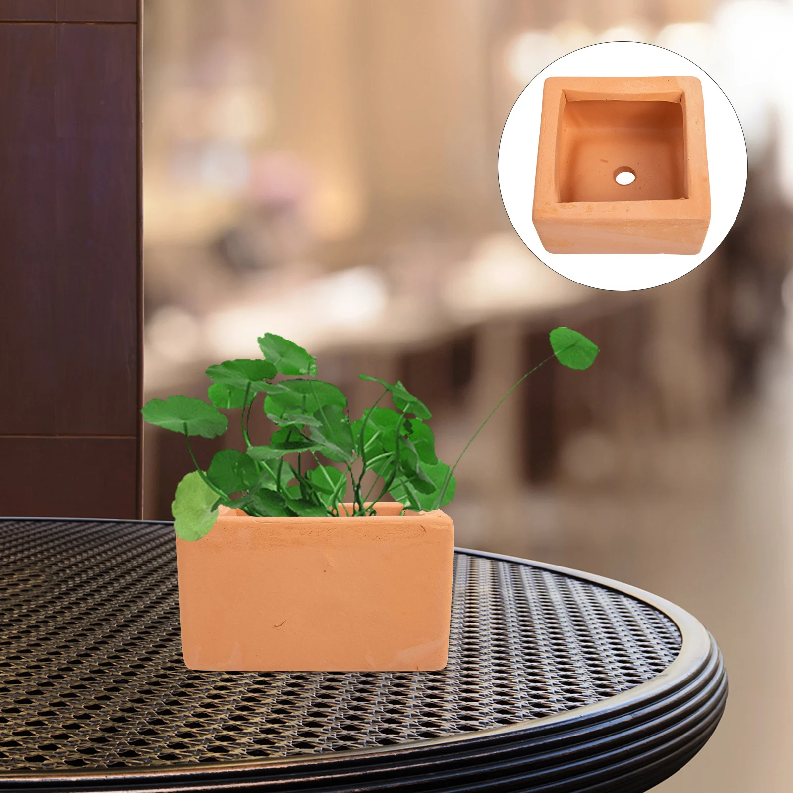 

3 Pcs Compact Size Flowerpot Planters for Indoor Plants with Drainagegarden Beautiful Decorative