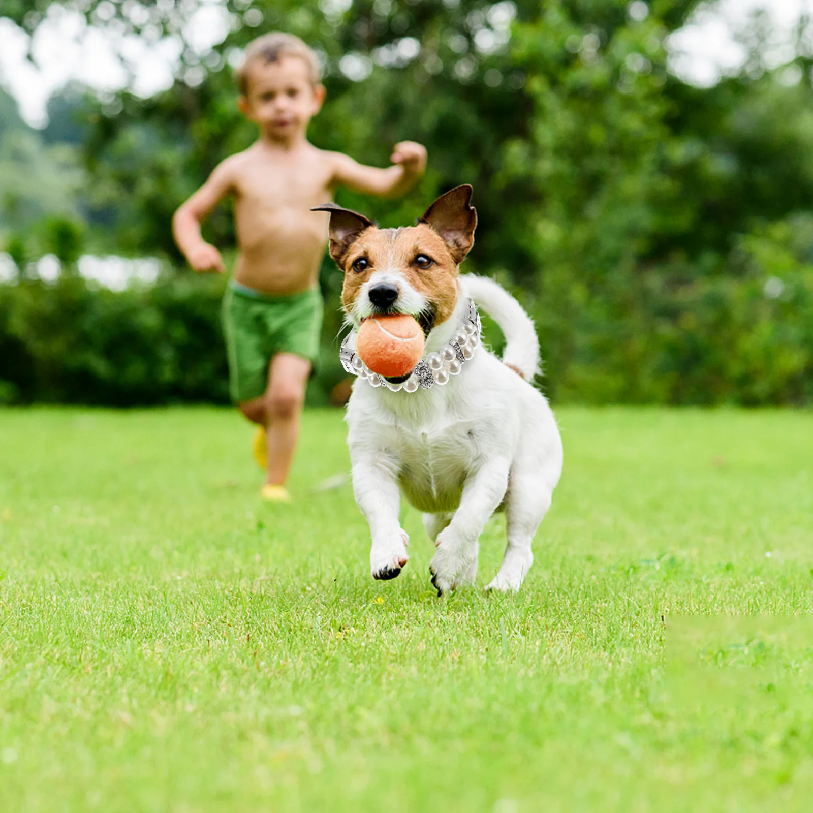 

Dog Pearl Collar With Leash Adjustable Pu Pet Jewelry For Fashion Necklace Strap Pet Supplies