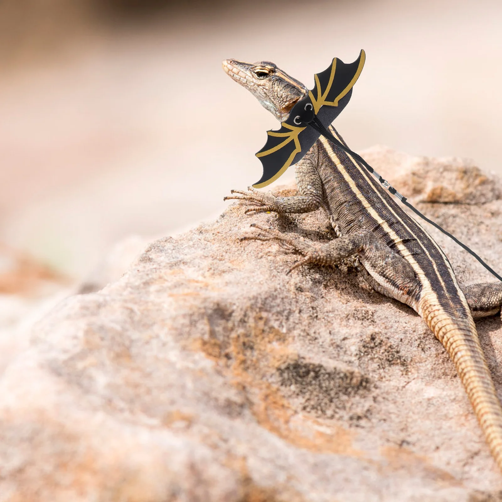 

1Set Lizard Harnesses Durable Nylon Reptile Leash Small Pet Decor Halloween Party Accessory Bearded Dragon Harnesses