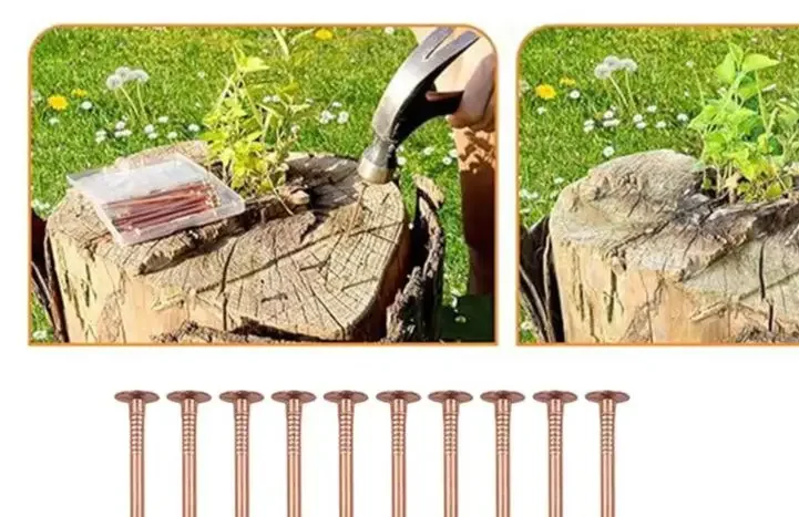 

25 3-inch Metal Copper Nails Tree Killer Nails Stump Removal Nails. 3-inch Solid Copper Nails Quickly Suppress Tree Growth.