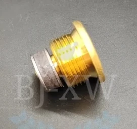 

1pc for Ferrari 458 Engine oil pan drain screw 488 oil change nut gearbox gasket