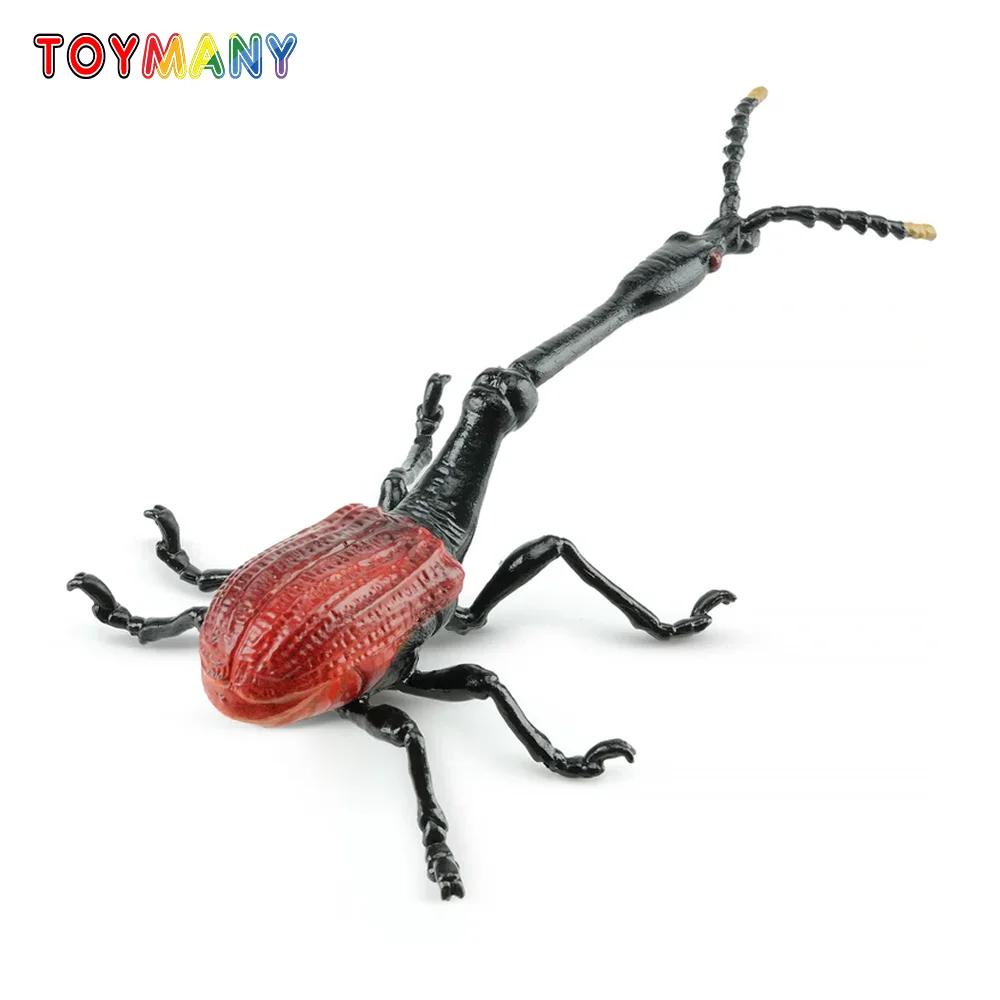 

Toymany Simulation Insect & Beetle Giraffe Weevil Animal Model Toy Mini Figures Dolls Action Figurines Toys Children Gift