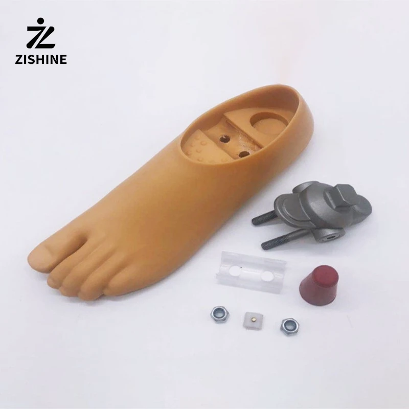 

Double Axis Prosthetic Foot with Adapter Split Toes Artificial Foot Amputees Prosthesis Leg Parts Prosthetic Component for Walk