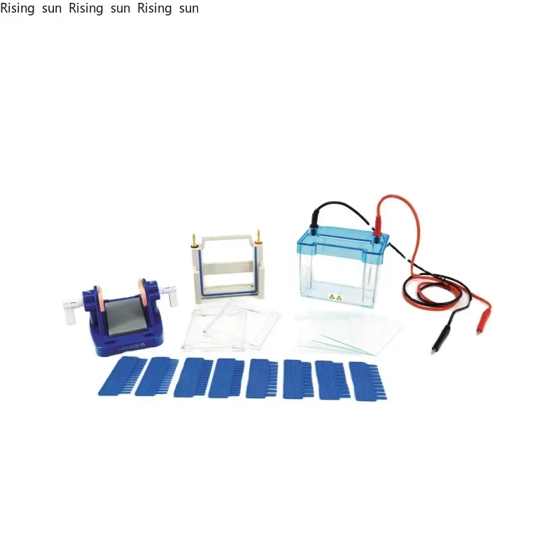 XYCZ 24DN Professional laboratory use Protein Electrophoresis Cell