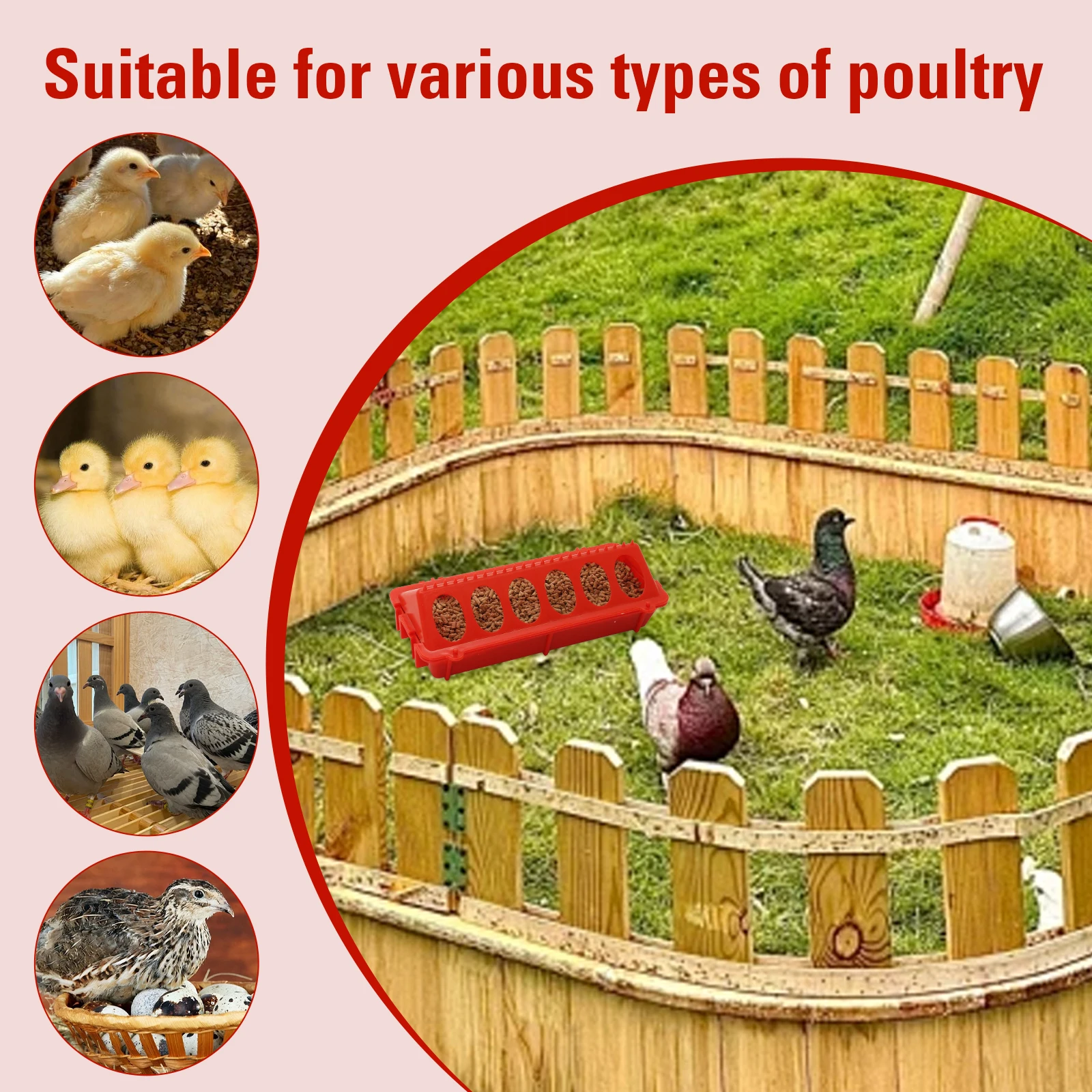 Chick Feeder Waterer Plastic Poultry Water Dispenser Hanging Drinker Baby Chick Feed Trough for Chicken Duck Quail Supplies view 6