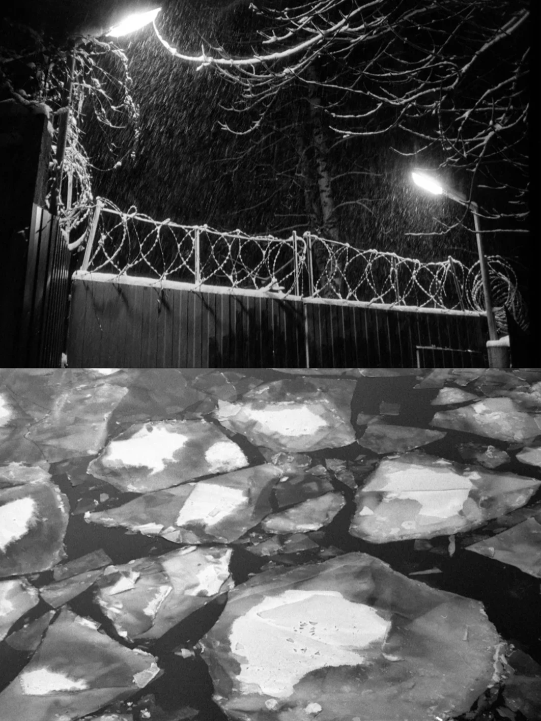 FOMAPAN 100/200/400 135 Hitam Putih 30.5 m Film Disc FOMAPAN Asli Ceko Kemasan Disc Reverse (Umur Simpan: 2026)