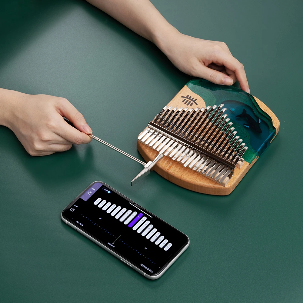 Kalimba 21 Key Epoxy Resin Calimba Wooden Body Thumb Piano Whale Keyboard Musical Instrument With Learning Book Accessories Gift