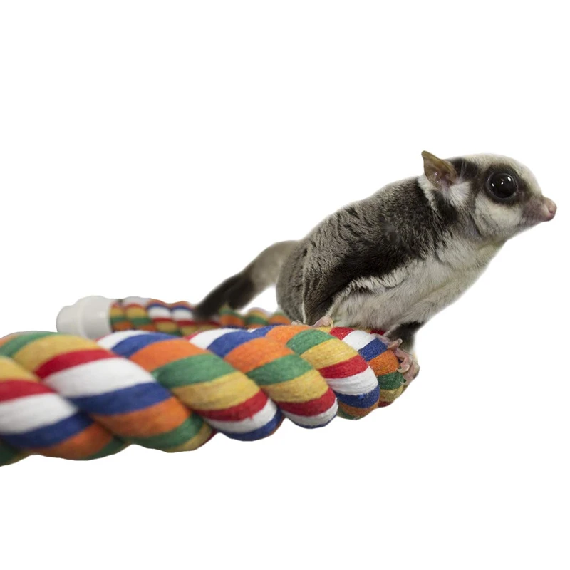Sugar Glider Toy Elastic Climbing Rope Hanging Sugar Glider Cage Accessory Swing Toy for Small Pets Guinea Pig Squirrel Gerbils view 3