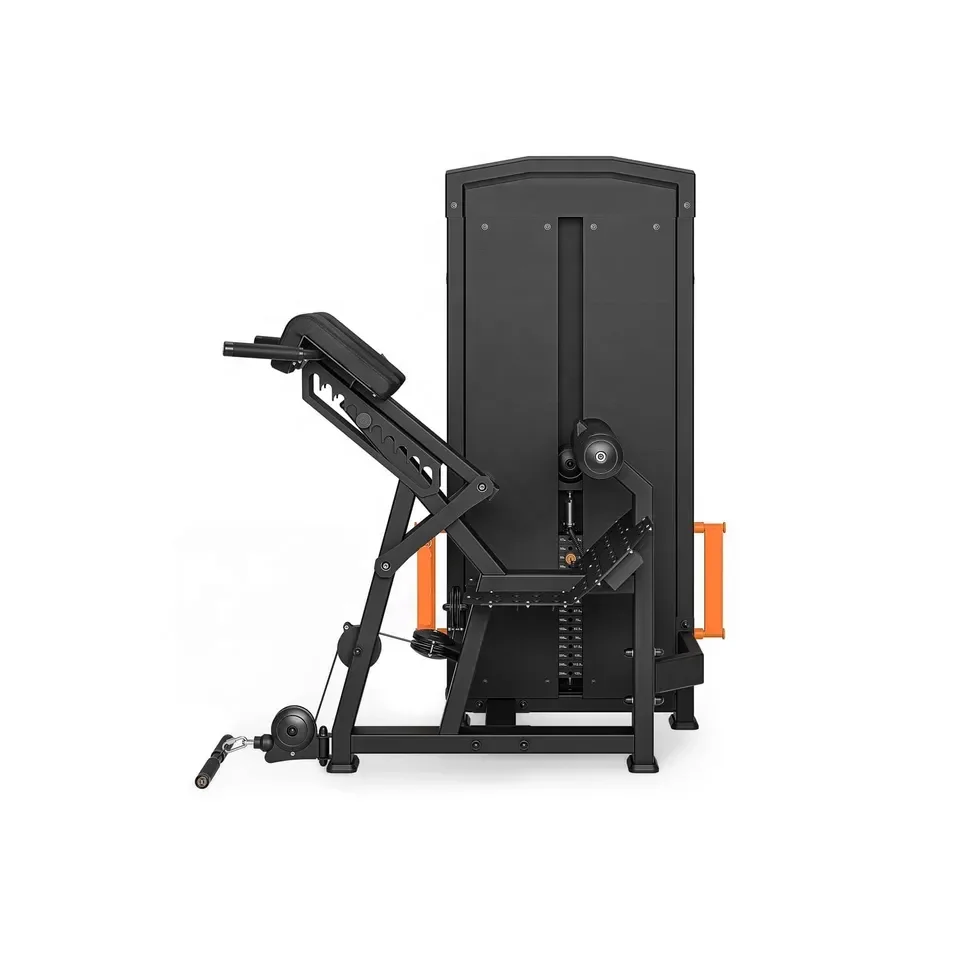 Latest Design Commercial Strength Fitness equipment Adjustable Comprehensive roman chair Selection  back extension machine