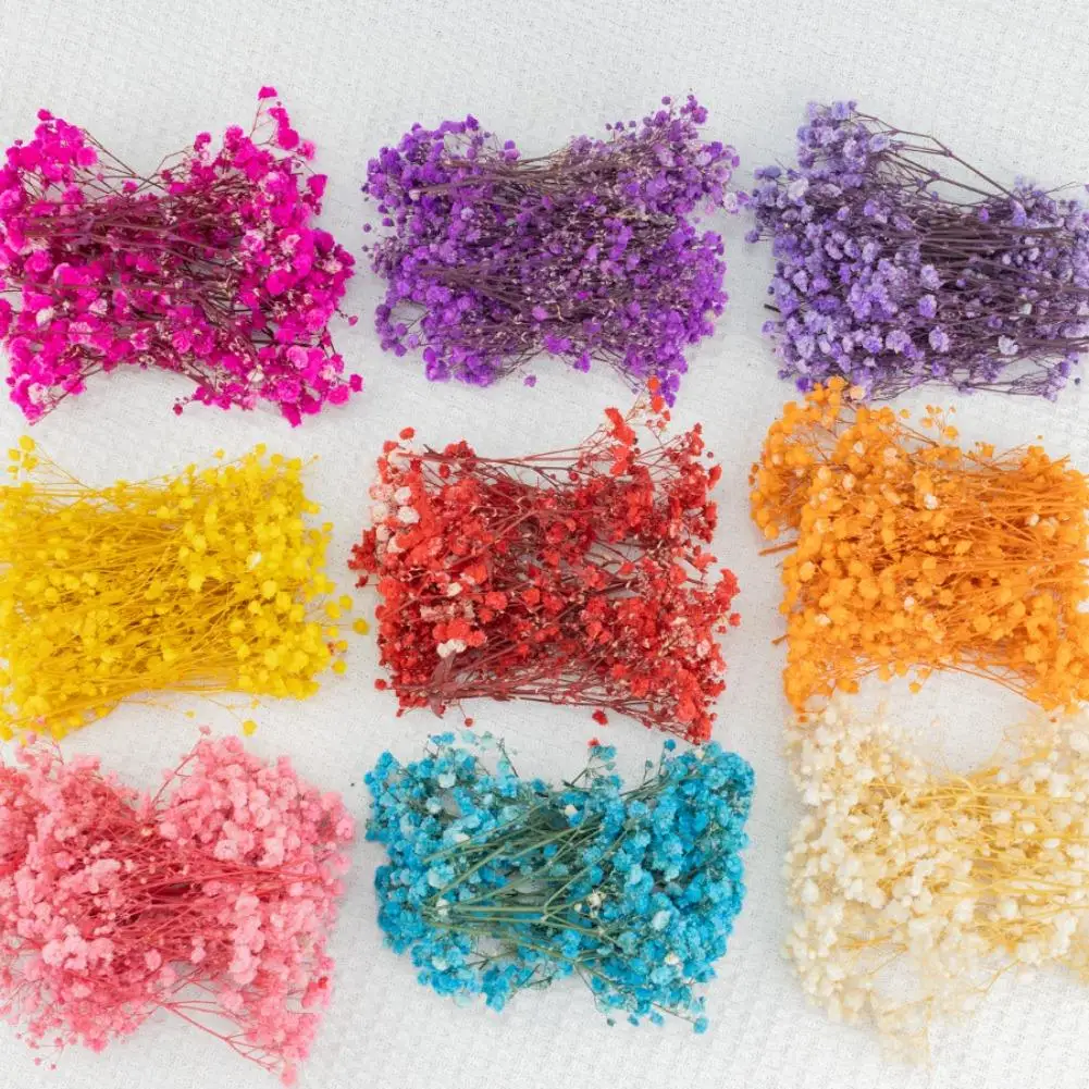 Buquê de flores secas em 9 cores, arranjo floral gypsophila, decoração de festa de casamento, vaso diy, pacote pequeno, presentes decorativos, 2025