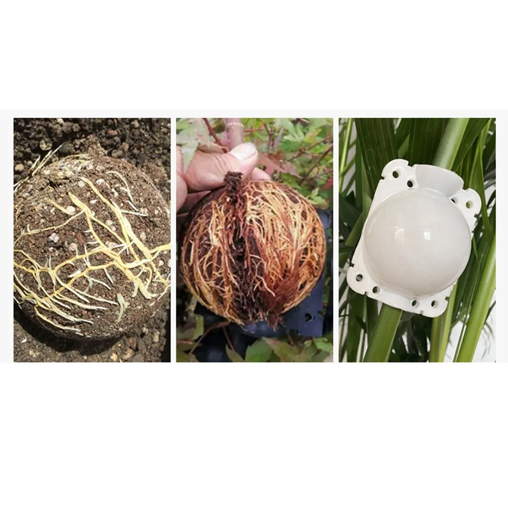 10PC Tree Root Growing Box Reusable Rooting Ball Grafting Tools Reproduction Device High Pressure Propagation Ball Box Container