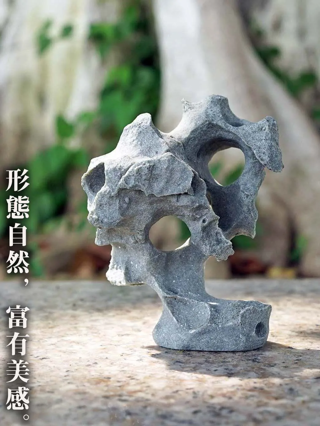 حجر البحيرة الاصطناعية مصغرة الجنينة الديكور بونساي النباتات الخضراء حوض السمك المشهد الصيني الإبداعي في الهواء الطلق