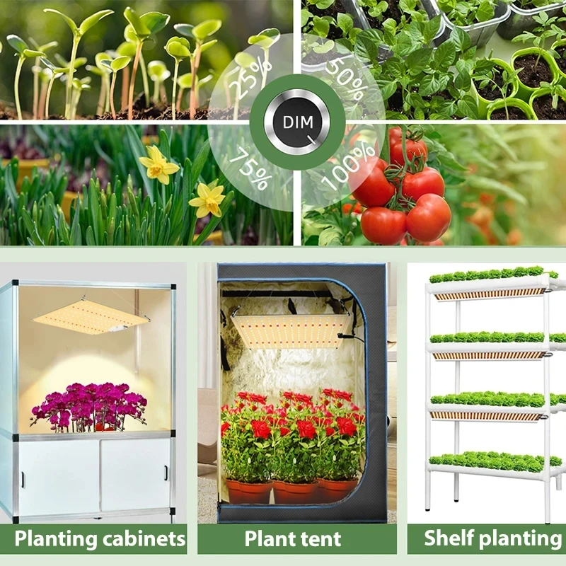 Pełne spektrum światła LED do uprawy Quantum Board Growing Lamp Wtyczka EU do wewnętrznych warzyw i kwiatów Phytolamp Szklarnia Kwiat Sukulent