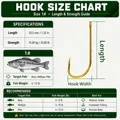 Size 1
