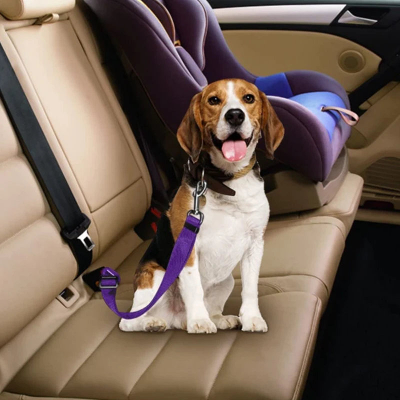 Pet products car seat belt dog leash with buffer elastic reflective safety rope leash dog rope