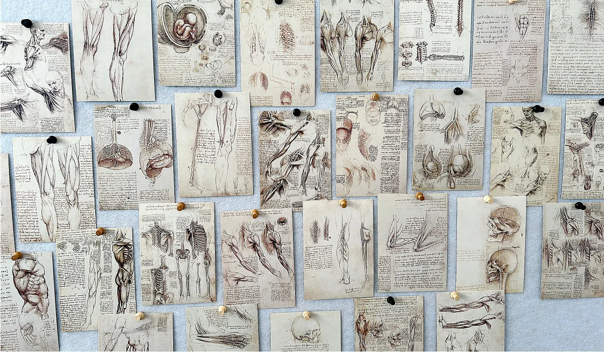 30 листов/лот Леонардо да Винчи эскиз живопись открытка винтажная художественная поздравительная открытка сообщение подарочные открытки для украшения своими руками