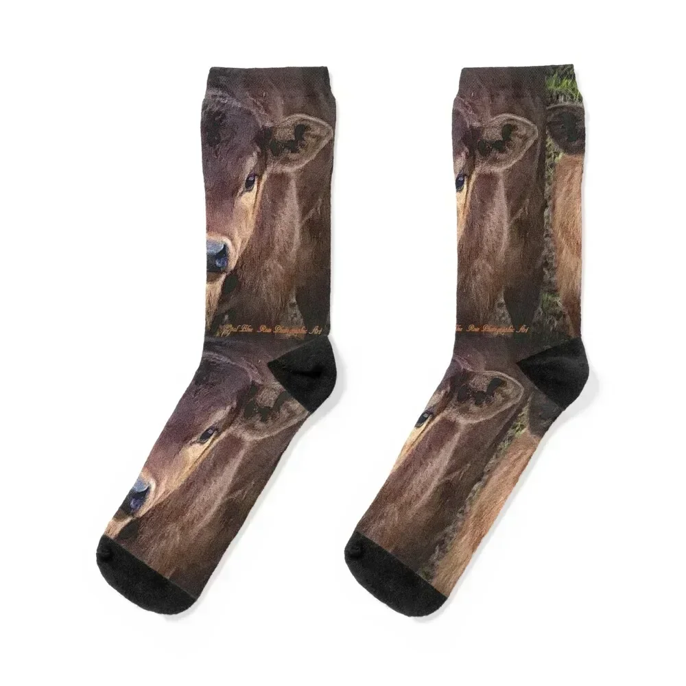 CUTE LIMOUSIN CALF Socks shoes custom Running summer Socks For Man Women's