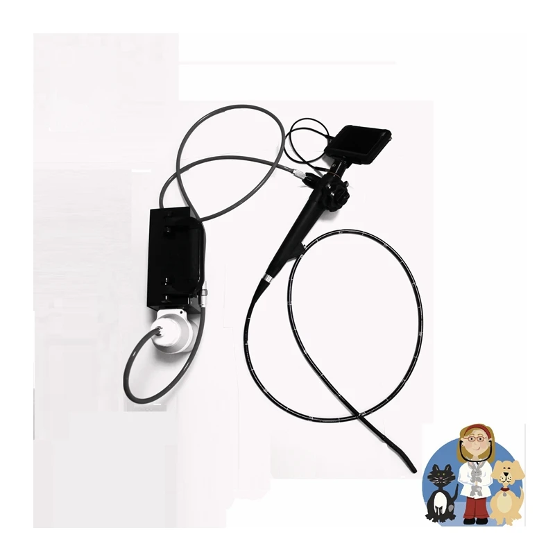 Medical USB Horse Endoscope HD Vet Endoscope Electronic Veterinary Flexible Bronchoscope Gastroscope