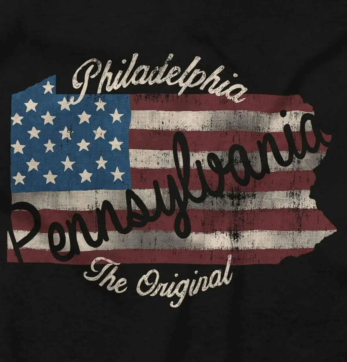 Brisco Brands Philadelphia Pennsylvania Patriotic Graphic T Shirt Men or Women